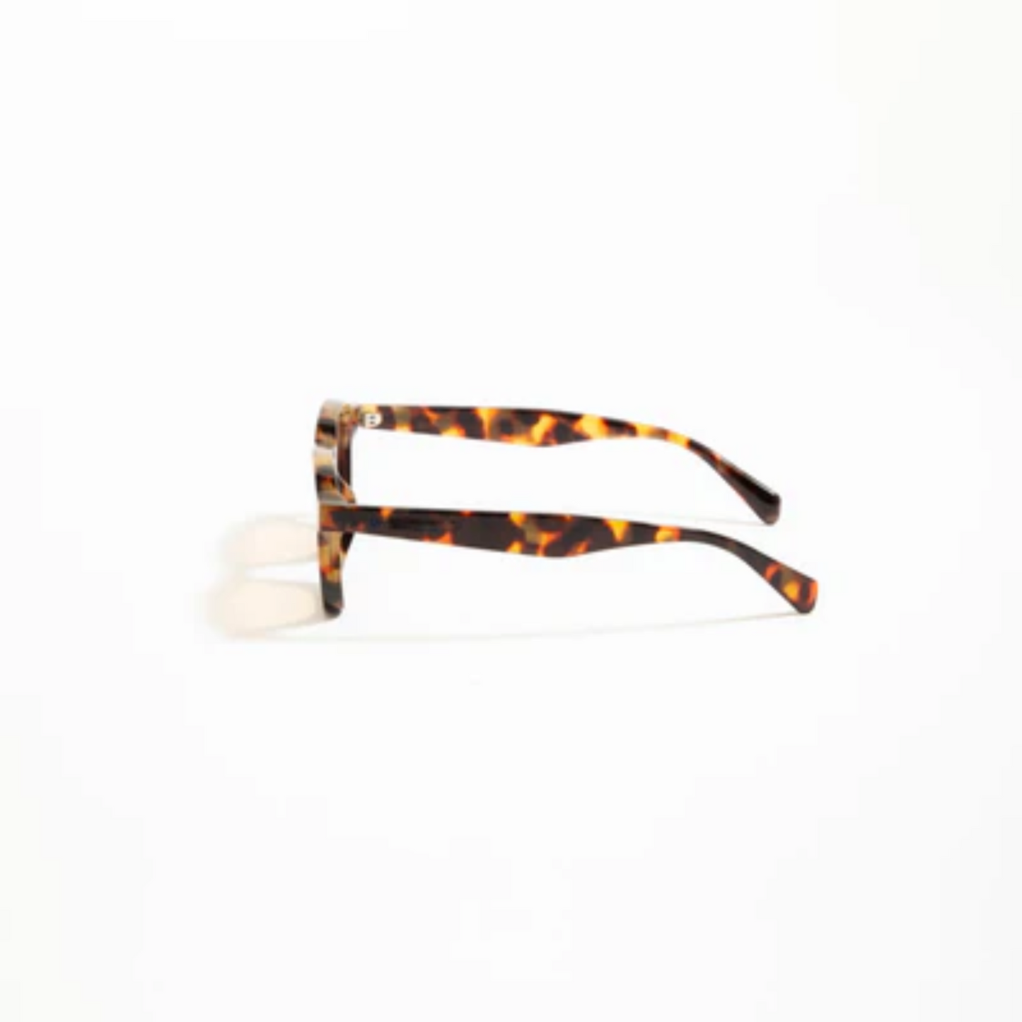 Amber Shell Sunglasses